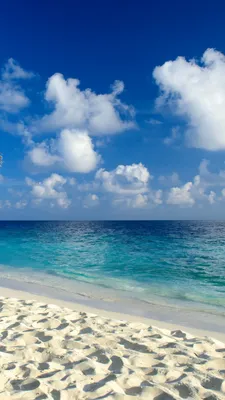 Фото Морские звезды Пляж Море Природа Песок Ракушки берег 1920x1080