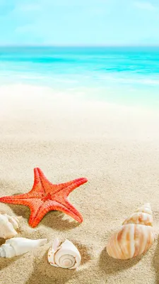 морская звезда на золотом песке у моря в солнечный день. концепция  романтического отпуска. летние обои или фон Стоковое Фото - изображение  насчитывающей пирофакел, затишье: 219834068