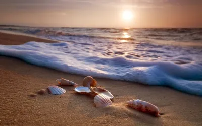 обои : море, Песок, небо, лето, Пена 2560x1600 - wallhaven - 1019551 -  красивые картинки - WallHere