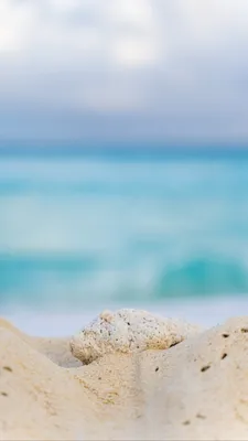 Дом в Италии - Пью кофе, смотрю на море, песок, пальмы,... | Facebook