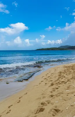 Флизелиновые 3 д фото обои Природа Пейзаж Пляж Море Песок (11849V)+клей  купить по цене 200,00 грн
