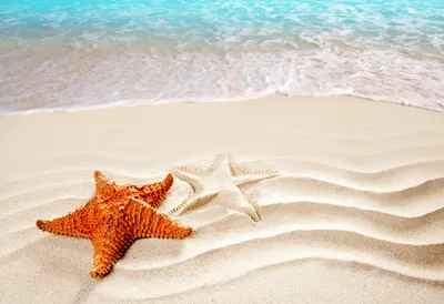 Скачать обои волны, море, песок, пляж, морская звезда разрешение 4914x3368  #159146