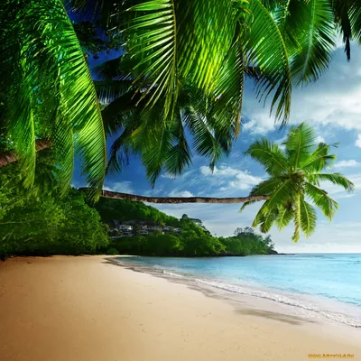 Обои море, берег, волна, песок, побережье для iPhone 6, 6S, 7, 8 бесплатно,  заставка 750x1334 - скачать картинки и фото
