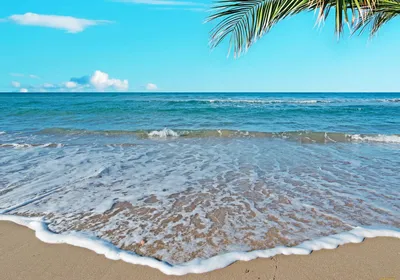 Фото Пляж Лето Море песка