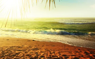 Скачать обои Пляж, Лето, Море, Песок в разрешении 1440x2560 на рабочий стол