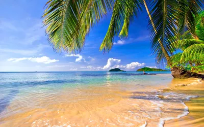 Скачать обои песок, море, пляж, небо, облака, пальмы, раздел пейзажи в  разрешении 1920x1200