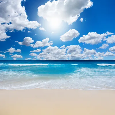 Тропический пляж, берег моря с пальмами Стоковое Фото - изображение  насчитывающей море, берег: 95558932