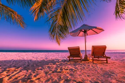 ЗВУКИ МОРЯ; 3 часа Видео Тропический пляж с голубым небом, белым песком и  пальмой. - YouTube