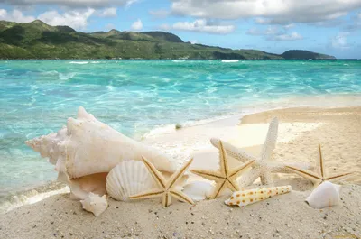 Обои Разное Ракушки, кораллы, декоративные и spa-камни, обои для рабочего  стола, фотографии разное, ракушки, кораллы, декоративные и spa-камни, sand,  summer, море, пляж, звезды, песок, солнце, beach, starfishes, seashells,  sunshine, sea Обои для