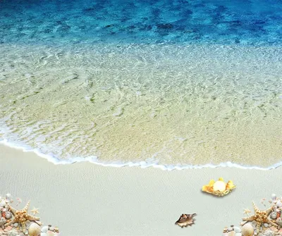 Обои Разное Ракушки, кораллы, декоративные и spa-камни, обои для рабочего  стола, фотографии разное, ракушки, кораллы, декоративные и spa-камни,  звезды, пляж, море, sea, sand, summer, песок, sunshine, beach, starfishes,  seashells, солнце Обои для
