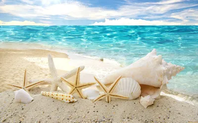 Обои Разное Ракушки, кораллы, декоративные и spa-камни, обои для рабочего  стола, фотографии разное, ракушки, кораллы, декоративные и spa-камни,  summer, море, песок, sunshine, солнце, sea, beach, seashells, starfishes,  пляж, звезды, sky, sand Обои