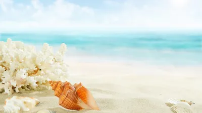 Летние обои | Beach wallpaper iphone, Summer wallpaper, Beautiful nature  wallpaper