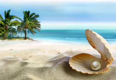 Обои Разное Ракушки, кораллы, декоративные и spa-камни, обои для рабочего  стола, фотографии разное, ракушки, кораллы, декоративные и spa-камни,  океан, пляж, тропики, солнце, море, песок, perl, sand, summer, ракушка,  blue, beach, sea, coast,