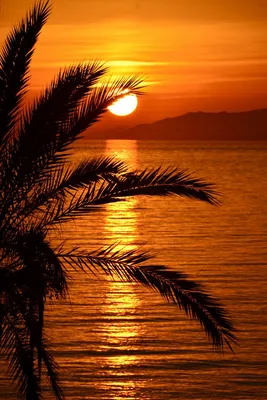 Закат солнца, Вечер, Ландшафт, Сумерки, Пейзаж, Крым, чёрное море, море  Photos | Adobe Stock