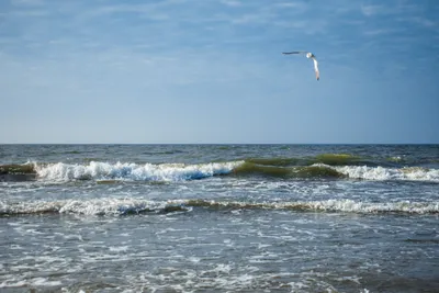 Куда поехать в августе на море в 2024 году 💥: лучшие направления для  пляжного отдыха — Tripster.ru