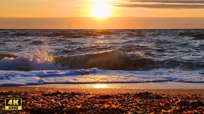 Солнце море горы пляж | Кот | Дзен