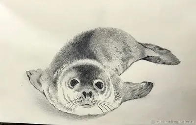 Рисунок карандашом. море чайки, …» — создано в Шедевруме