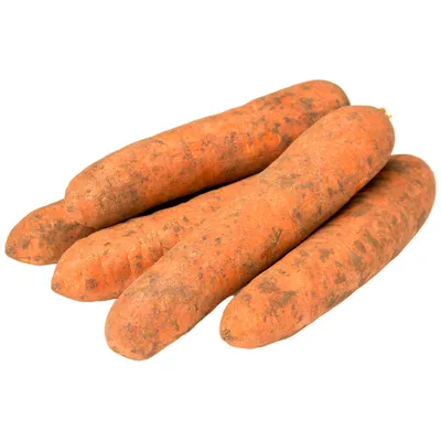 Морковь: состав, польза и вред, противопоказания, свойства — мнение  диетолога