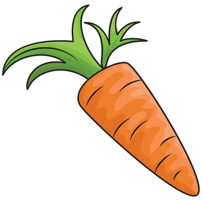 Морковь – вчера, сегодня, завтра