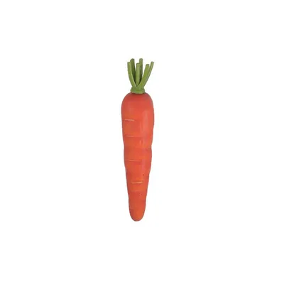 Морковь Декор