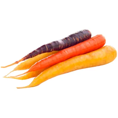 Семена Морковь «Нантская» 4 (Лента) по цене 40 ₽/шт. купить в Кемерове в  интернет-магазине Леруа Мерлен