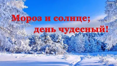 Мороз и солнце. День чудесный (Серж Конфон 3) / Стихи.ру
