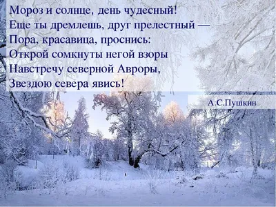 Мороз и солнце, день чудесный... - фото автора стихиЯ на сайте Сергиев.ru