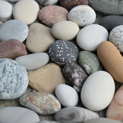 Купить Галька камень морской Черноморский /тн online с доставкой, цена,  фото, характеристики. Галька речная и галька морская