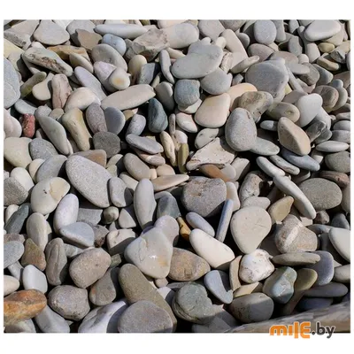 Камень для ландшафта: Морская галька Жемчужная 10-20 мм