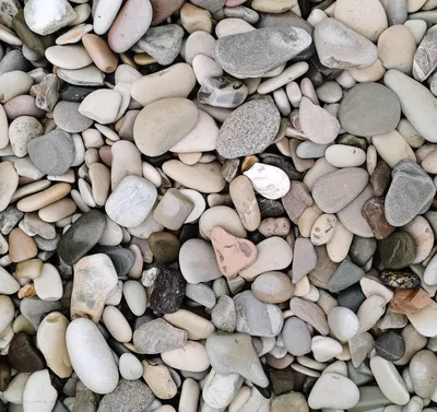 Твоя Крепость - Природный камень | Галька морская бежевая фракция 3-7 см -  Камни для ландшафта- Быстрый поиск камня - Каталог
