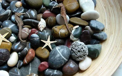 Коллекция камней (56 фото) - 56 фото
