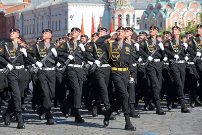 День морской пехоты России: Когда отмечается - Новая Сибирь online