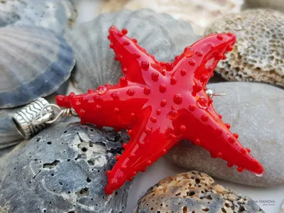 Кулон \"Красная морская звезда\" авторский лэмпворк | Anna Ivanova glass  jewelry