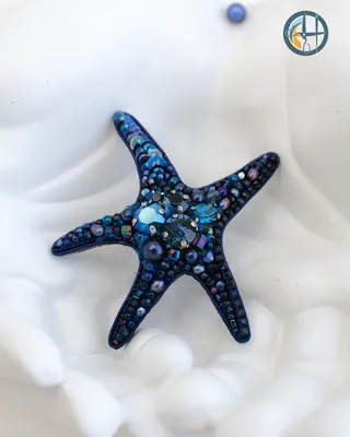 Самая большая в мире морская звезда | Пикабу