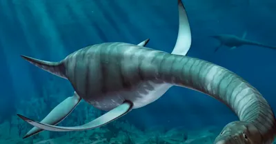Учёные раскрыли происхождение древнего морского чудовища из скандинавских  рукописей - Лайфхакер