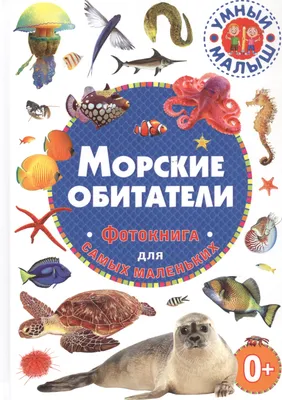 Дидактические карточки \"Морские животные\" МГП-9052 в Москве | CLEVER-TOY.RU