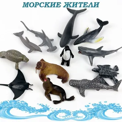 Морские жители и море – купить по низкой цене (550 руб) в Москве |  Интернет-магазин KinderQuest.ru