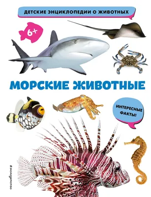 Морские животные – скачать pdf на ЛитРес