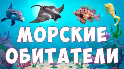 Наклейки с заданиями. Морские животные - Стрекоза