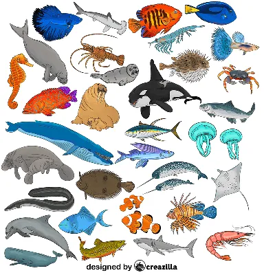 ТОП 5 | Самые необычные морские животные | ТОП 5 | Дзен