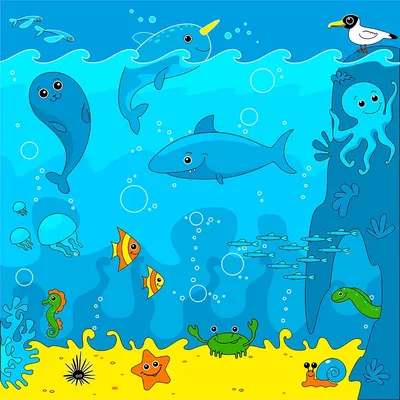 Морские животные - познавательное видео для детей. Жители моря и океана. —  Видео | ВКонтакте