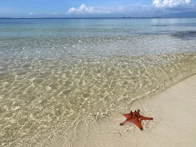 Куда можно поехать отдохнуть на море: лучшие курорты на морях — Яндекс  Путешествия