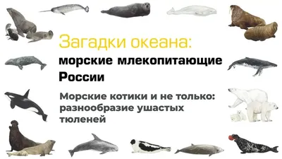 Скачать обои красивый закат на море на рабочий стол из раздела картинок  Закат солнца