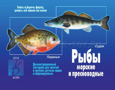 Самые вкусные и ценные морские рыбы - ТОП 12