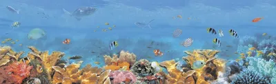 Морской Подводный Фон Морское Дно С Подводными Растениями Кораллами И  Рыбами — стоковая векторная графика и другие изображения на тему Море -  iStock