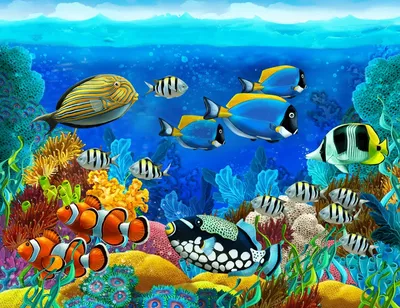 Обои на рабочий стол Морское дно с кораллами, ракушками и плавающими над  ним рыбками и черепахами, обои для рабочего стола, скачать обои, обои  бесплатно