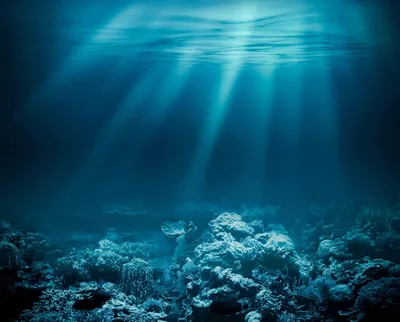 Морское дно моря или океана подводное Стоковое Изображение - изображение  насчитывающей тропическо, плоско: 138332457