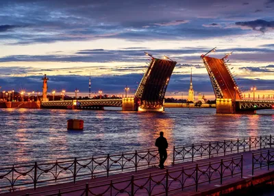 Власти опровергли данные о закрытии моста на остров Русский до конца года -  РИА Новости, 01.12.2020
