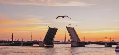 Картинки Санкт-Петербург мост Города