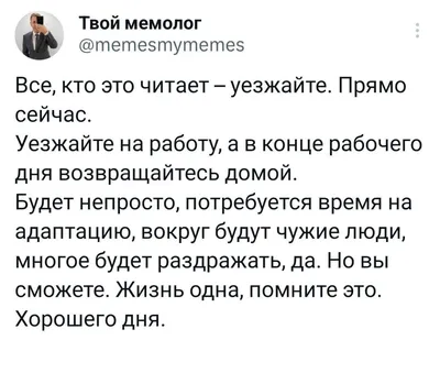 Есть лозунг мотивации хорошего дня и медведя с цветком в голове.  Иллюстрация вектора - иллюстрации насчитывающей потеха, новичок: 178018438